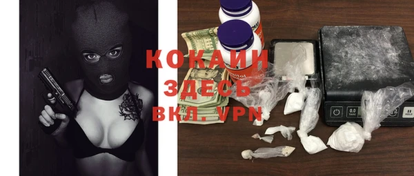 спиды Козловка