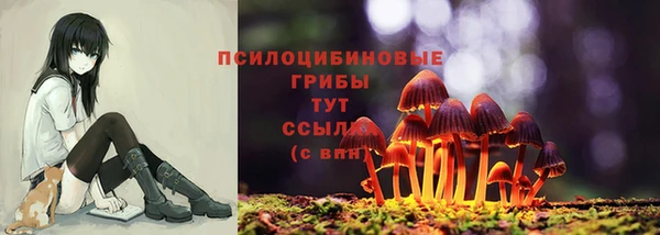 твердый Вяземский